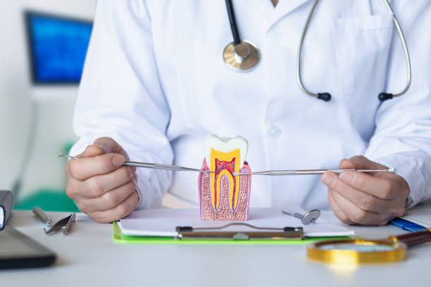 Best Emergency Dentist for Lost Fillings or Crowns in Lima, PA